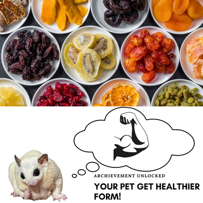 PETIVORE Premium Mixed Dried Fruit & Vegetable for Sugar Glider and Small Exotic Pet - Made with Fruits - Happy Treats, Snacks and Food (35g)