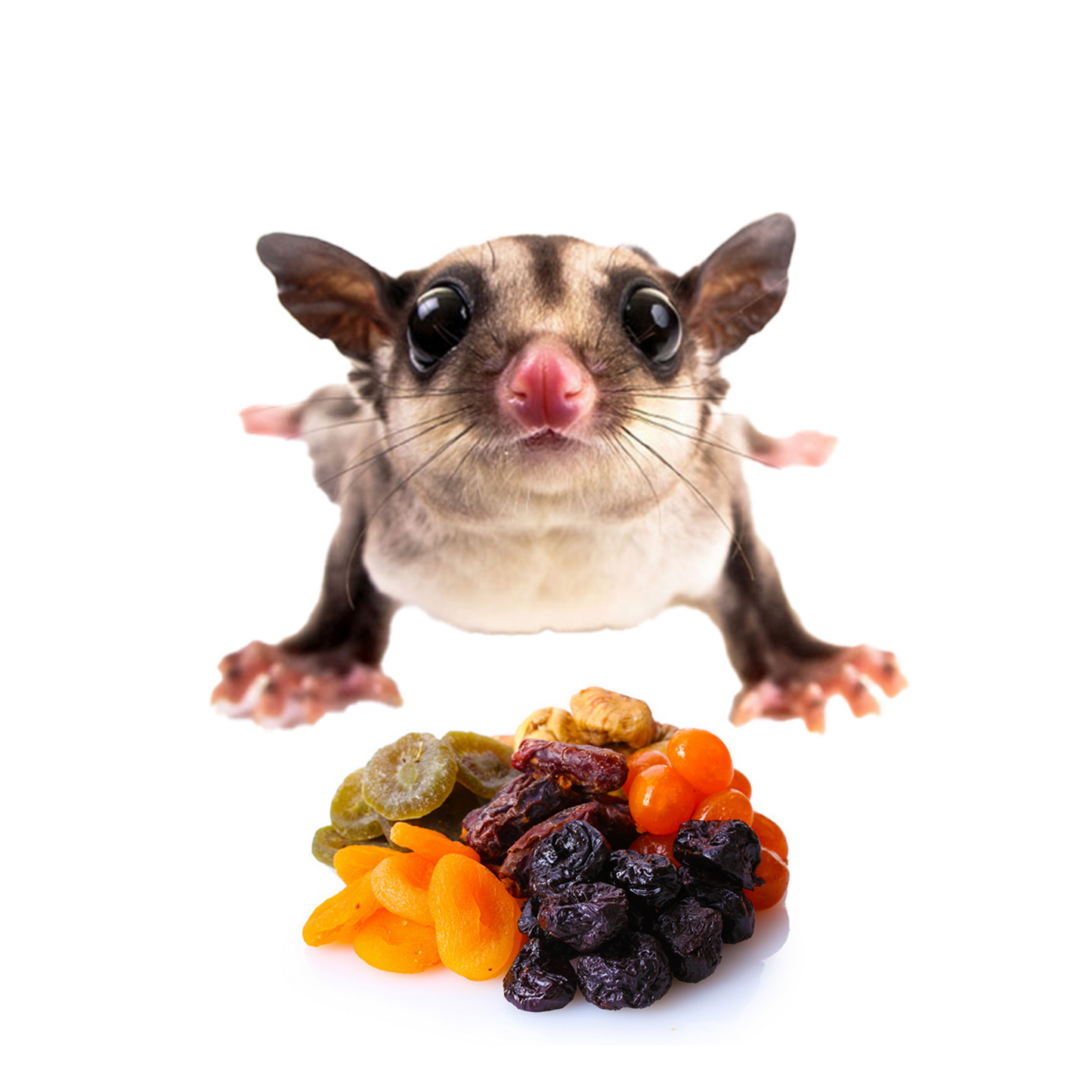 PETIVORE Premium Mixed Dried Fruit & Vegetable for Sugar Glider and Small Exotic Pet - Made with Fruits - Happy Treats, Snacks and Food (35g)